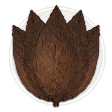 CT Fronto Leaf